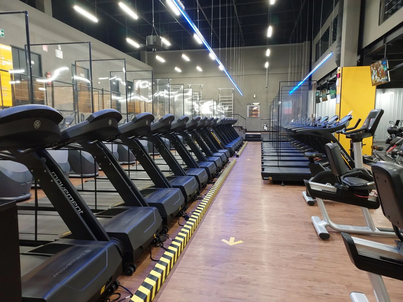 Row of treadmills and exercise machines in a modern gym